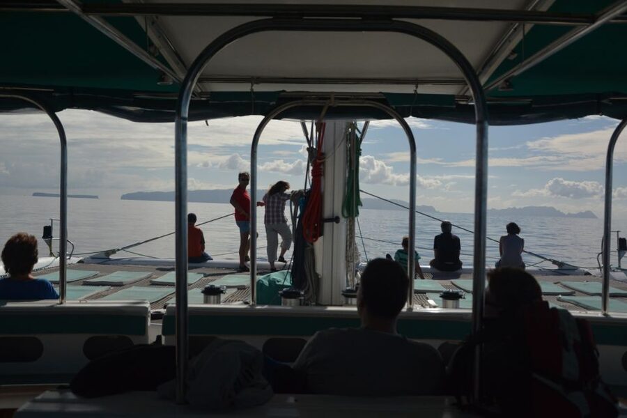 Desertas Islands Full-Day Catamaran Trip from Funchal - Price and value: what you really get for about $106