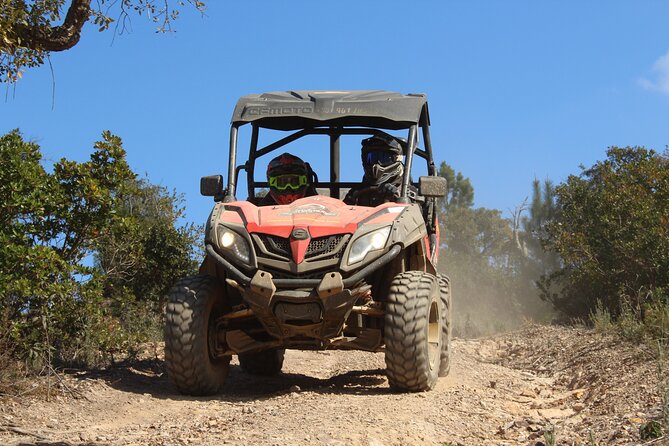 Dirt & Dust Buggy Tour - Key things to know before you go