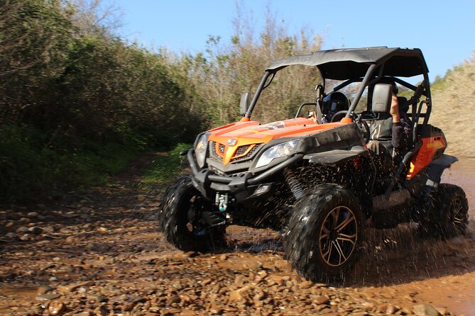 Dirt & Dust Buggy Tour - Comfort and control: what to expect in the buggy