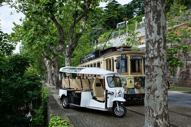 Discover Porto's Highlights on a 2-Hour Private Electric Tuk Tuk - Electric Tuk Tuk Comfort: Hear the Stories, Save Your Legs