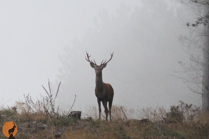 Discovering Nature in Serra da Lousã - Serra da Lousã mountain range: where the action happens