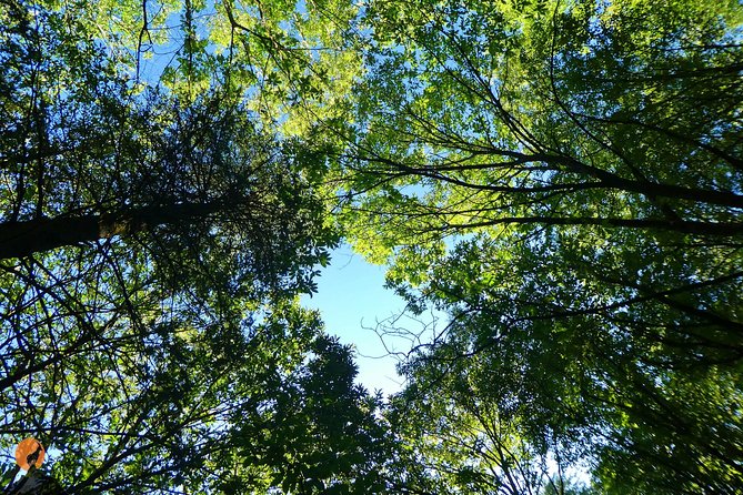 Discovering Nature in Serra da Lousã - Tips to make the day smoother (and more fun)