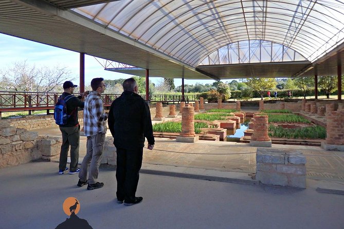 Discovering the Roman Ruins of Conímbriga and the Caves of Sicó - Museu Monográfico de Conimbriga: mosaics and Roman design in context