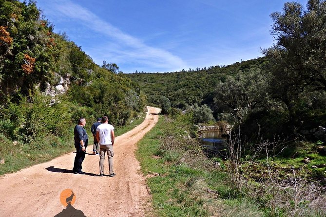 Discovering the Roman Ruins of Conímbriga and the Caves of Sicó - Buracas do Casmilo: the shorter cave add-on that’s worth it