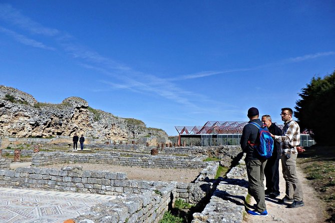 Discovering the Roman Ruins of Conímbriga and the Caves of Sicó - The guide makes the difference: Sérgio’s style of storytelling