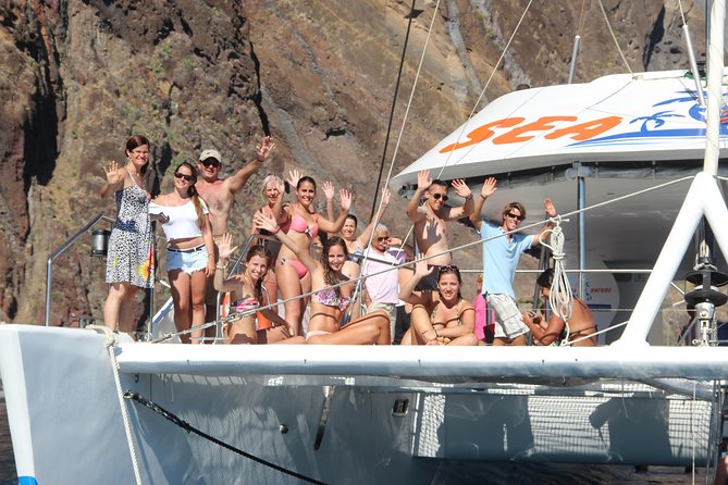 Dolphin and Whale Watching Catamaran Cruise from Funchal - How the crew finds dolphins and whales (and what you’ll learn)