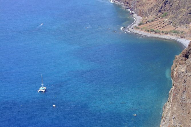 Dolphin and Whale Watching Catamaran Cruise from Funchal - If you do not see dolphins or whales: the free return that changes the risk