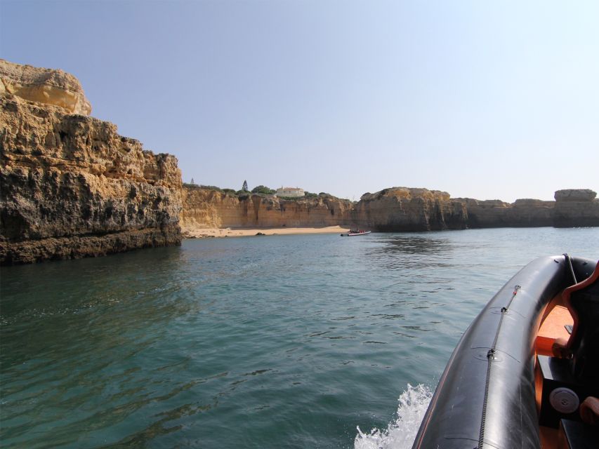 Dolphin Safari and Cave Tour in Vilamoura - Dolphin Safari: How Close You Can Get (And Why It’s Worth It)