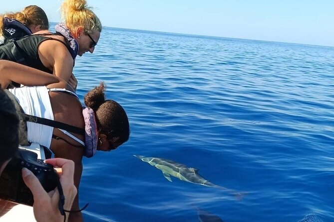 Dolphin Watching + 2 Islands Tour - From Faro - Group size and the guide factor: more attention during the search