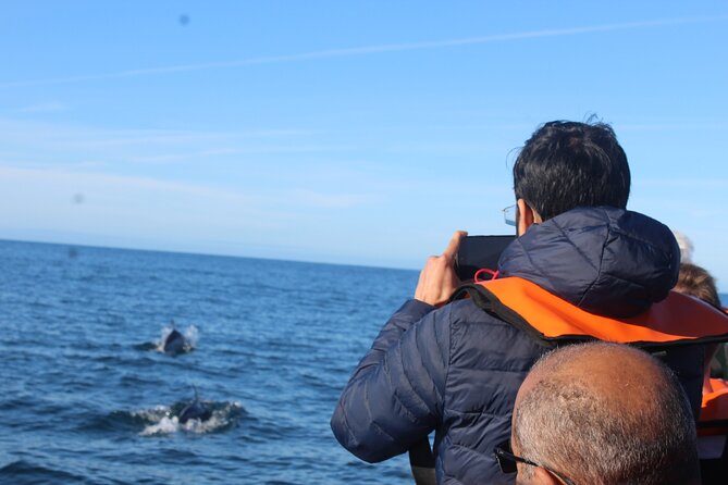 Dolphin Watching + 2 Islands Tour - From Faro - Cabo de Santa Maria and the Atlantic dolphin hunt