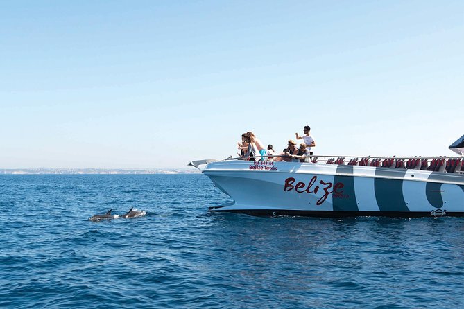 Dolphin Watching and Cave Boat Cruise from Albufeira - Key Things to Know Before You Go