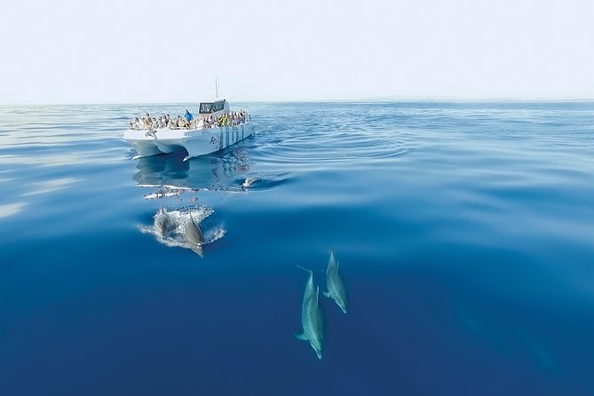 Dolphin Watching and Cave Boat Cruise from Albufeira - Boat comfort, sea spray, and the reality of music on board
