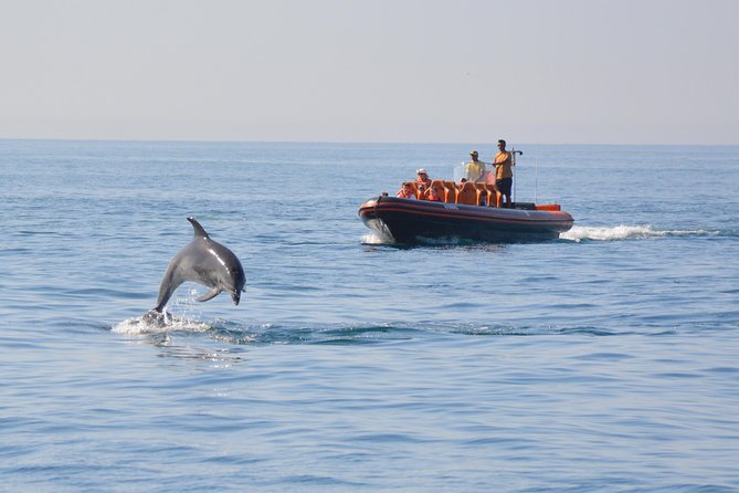 Dolphin Watching and Cave Tour from Vilamoura - Key Highlights You Can Count On