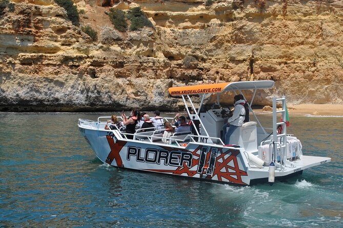 Dolphin Watching and Caves Cruise - Dolphin Watching in Algarve Waters: When Spotting Turns Exciting