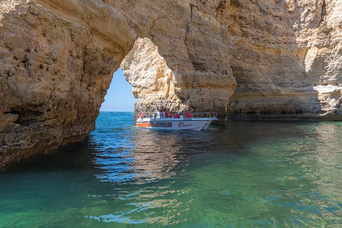 Dolphin Watching and Caves Cruise - Crew Energy and English Guidance: The Real Difference on the Water