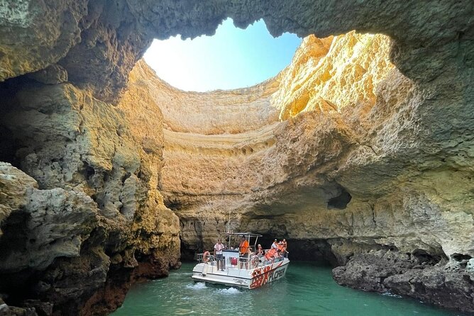 Dolphin Watching and Caves Cruise - Value at Around $42: What You’re Actually Paying For