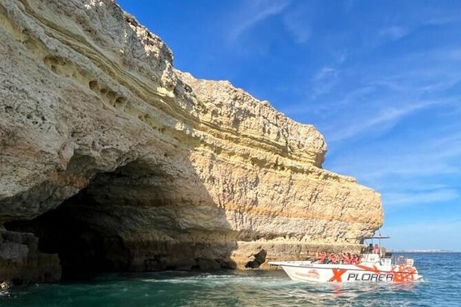 Dolphin Watching and Caves Cruise - Practical Tips That Make the Cruise Feel Better