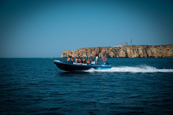 Dolphin Watching from Lagos with Marine Biologists - Time on the water: getting the best out of 1 hour 30 minutes
