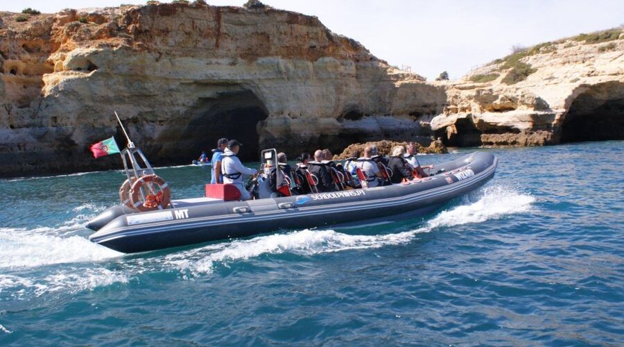 Dolphins Watching - Portimão - Key things I’d watch for on this Portimão dolphin trip