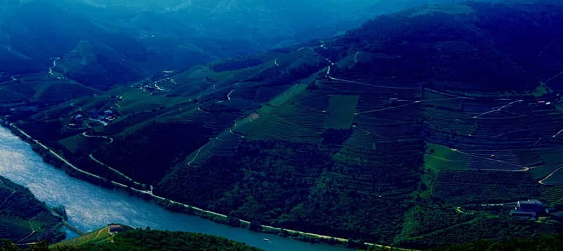 DOURO PREMIUM - The first view stop: photos, viewpoints, and getting oriented