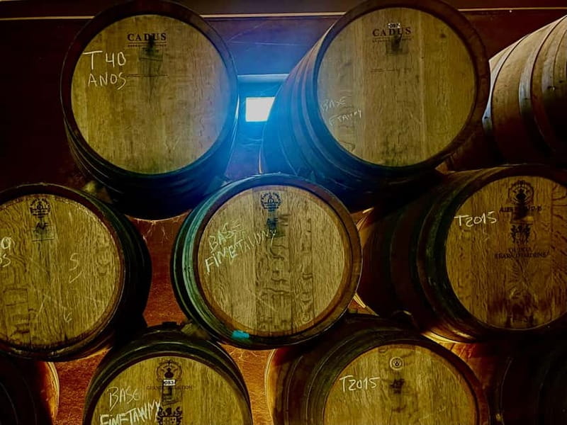 DOURO PREMIUM - Winery time: guided tour, DOC tastings, and shopping that makes sense