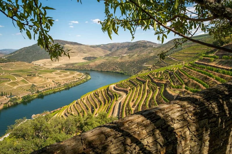 Douro Private Tour – Customizable Experience - Key points at a glance