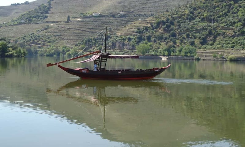 Douro Private Tour – Customizable Experience - Lunch choices: rustic plates or a wine-paired 3-course meal
