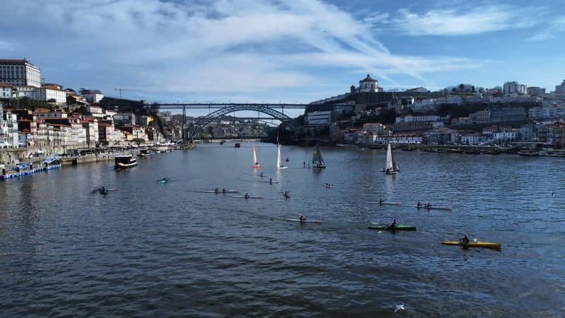 Douro River Kayak or Standup Paddleboard Tour - First strokes from Marina do Freixo