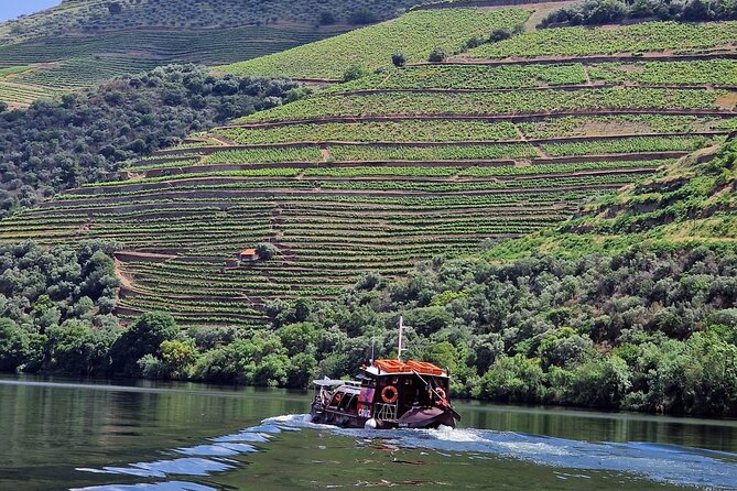 Douro Valley-Expert Guide-Boat-Lunch-Tastings-Offer wine bottle - Why This Douro Tour Works So Well for Most Visitors