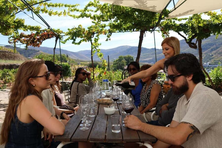 Douro Valley: Half-Day, with 1 winery & 1-h boat tour - Key things I’d bank on before you go
