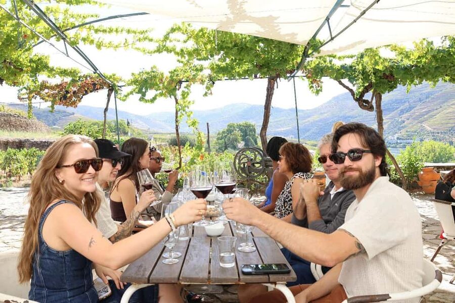 Douro Valley: Half-Day, with 1 winery & 1-h boat tour - Winery time: red and white tastings, plus olive oil