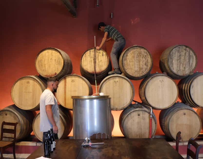 Douro Valley: Half-Day, with 1 winery & 1-h boat tour - Pinhão boat cruise: a river perspective with Porto wine and snacks