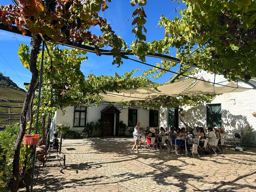 Douro Valley: Half-Day, with 1 winery & 1-h boat tour - Your guide experience: friendly hosts and real conversation