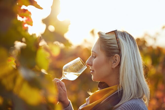 Douro Valley: Historical Sites, Wine Experience, Lunch & Cruise - What you get for $107.63: value check for a full day