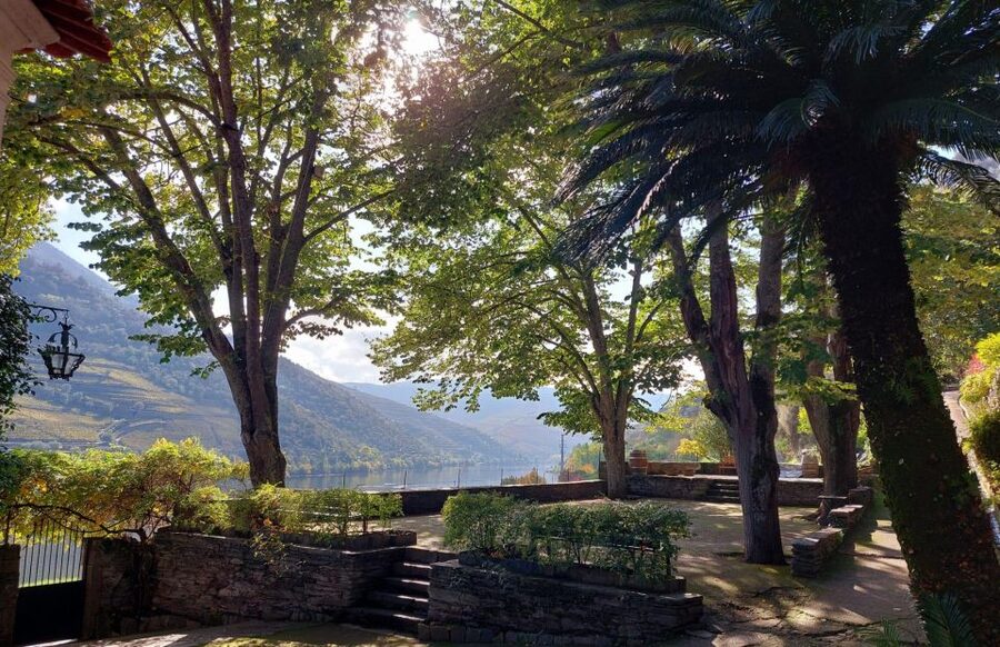 Douro Valley: (Pinhão) Quinta da Foz - Tour&Tasting 5 WINES - 1 hour on the clock: how the tour actually moves