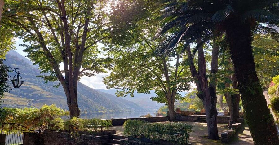 Douro Valley: (Pinhão) Quinta da Foz - Tour&Tasting 5 WINES - The 5-wine tasting plus olive oil: what you’ll taste, in order
