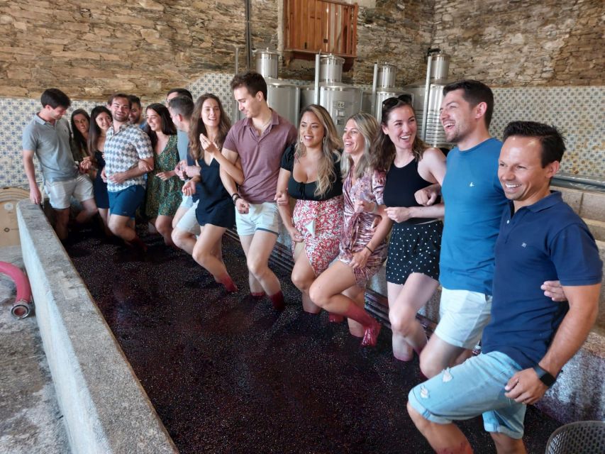 Douro Valley: (Pinhão) Quinta da Foz - Tour&Tasting 5 WINES - Inside the winery: vinification, explained step-by-step