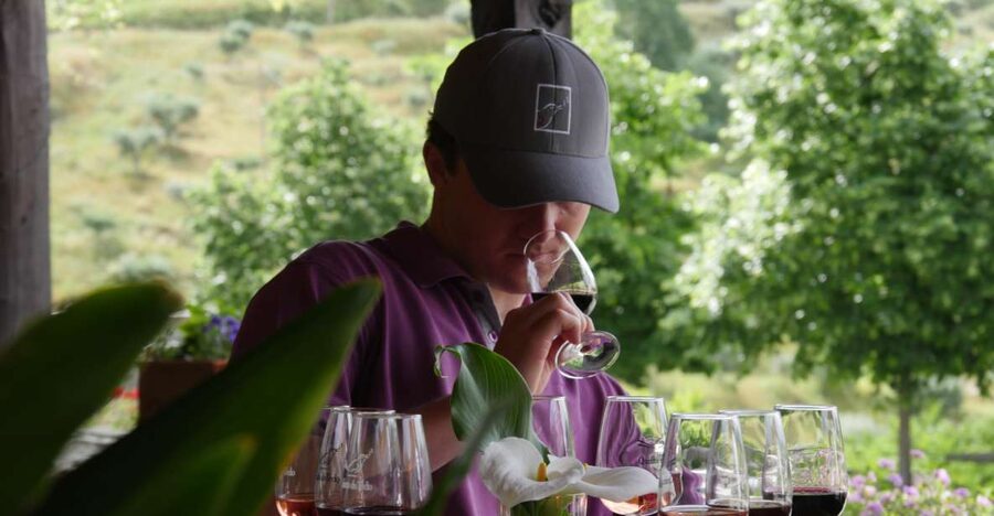 Douro Valley: Premium Port Tasting Winery Tour & River Views - Key Things I’d Prioritize on This Tour
