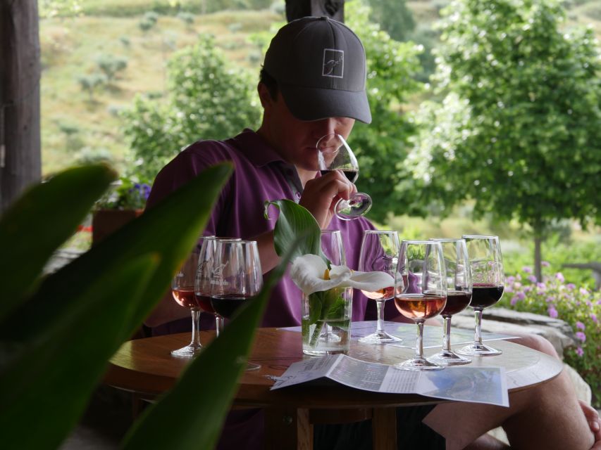 Douro Valley: Premium Port Tasting Winery Tour & River Views - Finding Folgosa and Getting Ready for 90 Minutes of Wine Time