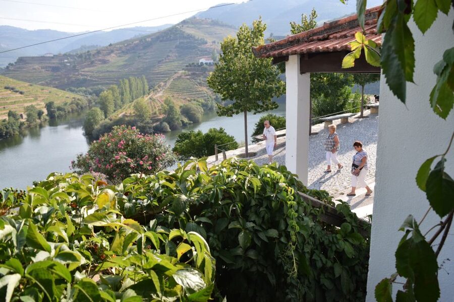 Douro Valley: Premium Port Tasting Winery Tour & River Views - Historic Wine Lagares and Foot Treading: Portugal’s Old-World Step