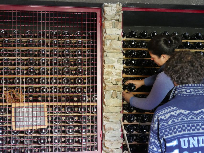 Douro Valley: Premium Port Tasting Winery Tour & River Views - Inside the 18th-Century Cellars: Port Aging and DOC Basics You Can Taste