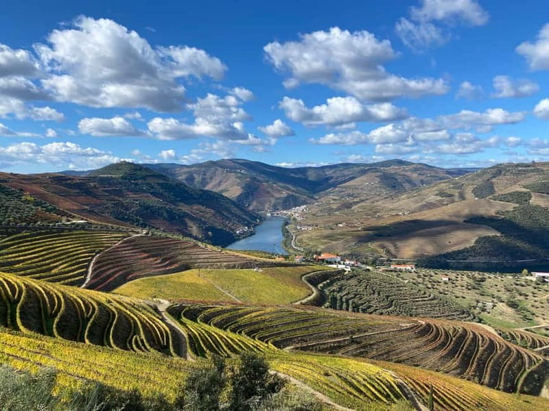 Douro Valley: Small-Group Tour, Winery's Lunch, Private Boat - Wine Tasting Without the Confusion