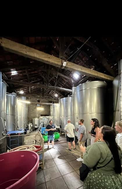 Douro Valley: Small-Group Tour, Winery's Lunch, Private Boat - Should You Book This Douro Valley Tour?