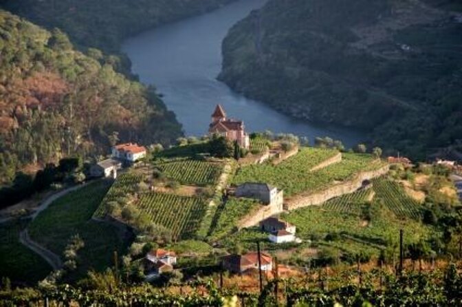 Douro Valley Small-Group Tour with Wine Tasting, Lunch and Boat - Key Highlights You’ll Care About