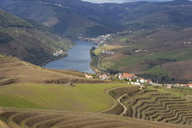 Douro Valley Tour: 2 Vineyard Visits, River Cruise, Winery Lunch - Key things I would highlight before you go