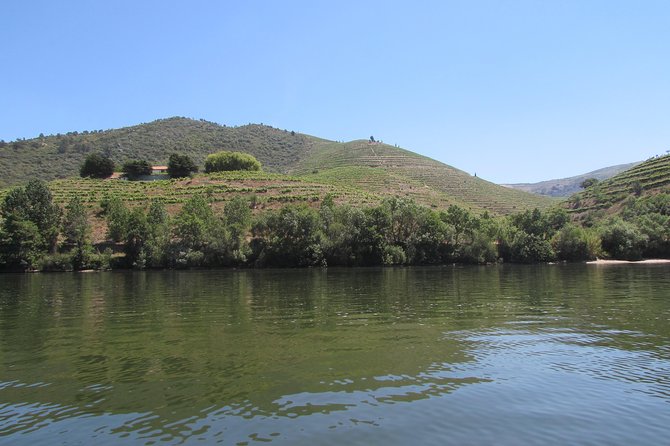 Douro Valley Tour: 2 Vineyard Visits, River Cruise, Winery Lunch - Pinhão Rabelo river cruise: seeing the Douro from the water