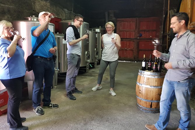Douro Valley Tour: 2 Vineyard Visits, River Cruise, Winery Lunch - Lamego vineyard stop: terraced views plus a family tasting