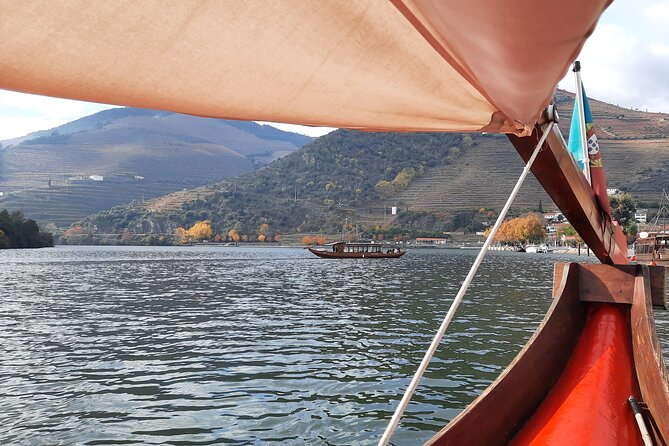 Douro Valley Tour - 3 Wine tastings, Lunch & river Cruise - Sabrosa lunch in a family producer’s Vintage House, then Port tasting