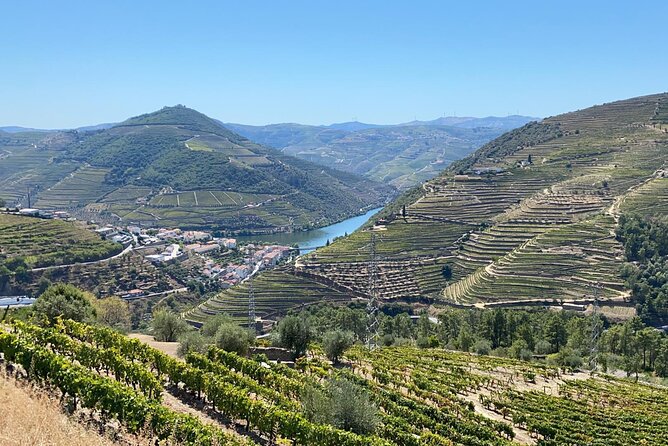 Douro Valley Tour - 3 Wine tastings, Lunch & river Cruise - The Douro viewpoint stop: short photo time in a comfortable minivan