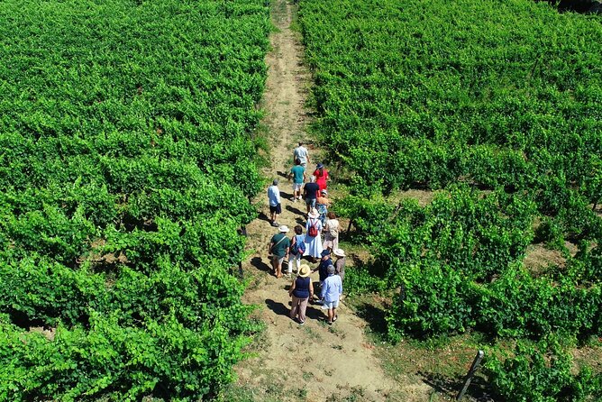 Douro Valley Tour - 3 Wine tastings, Lunch & river Cruise - Pinhão: choose the Rabelo boat or take the riverside walk